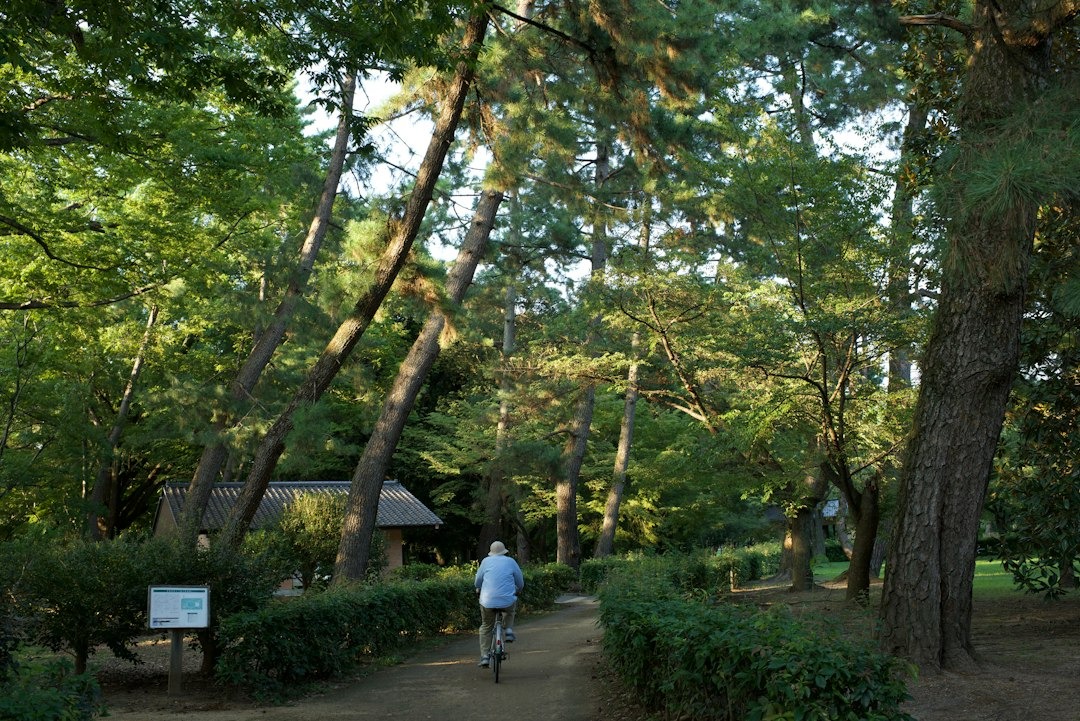 cyclist on trail at a park