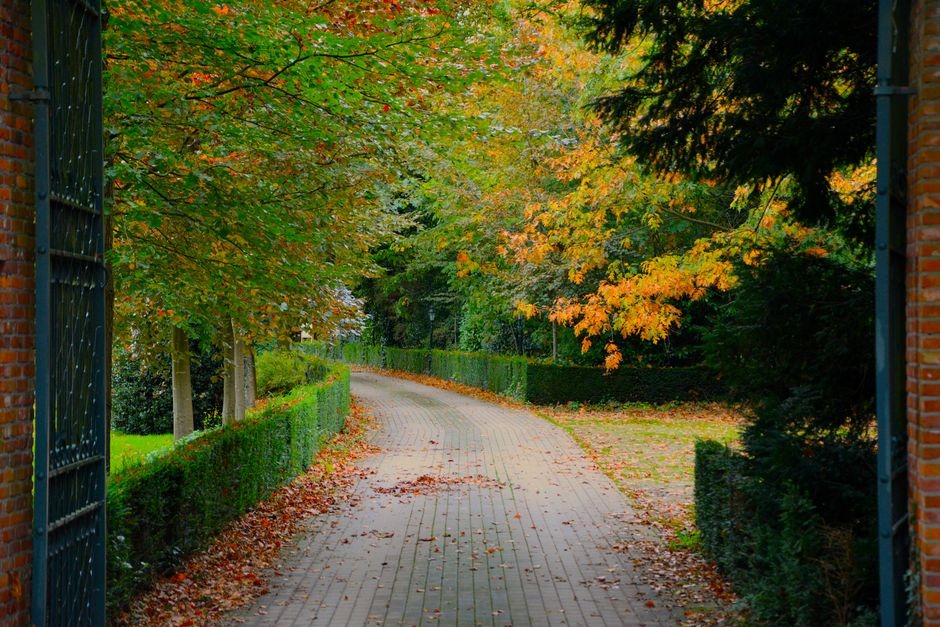 pathway through a park