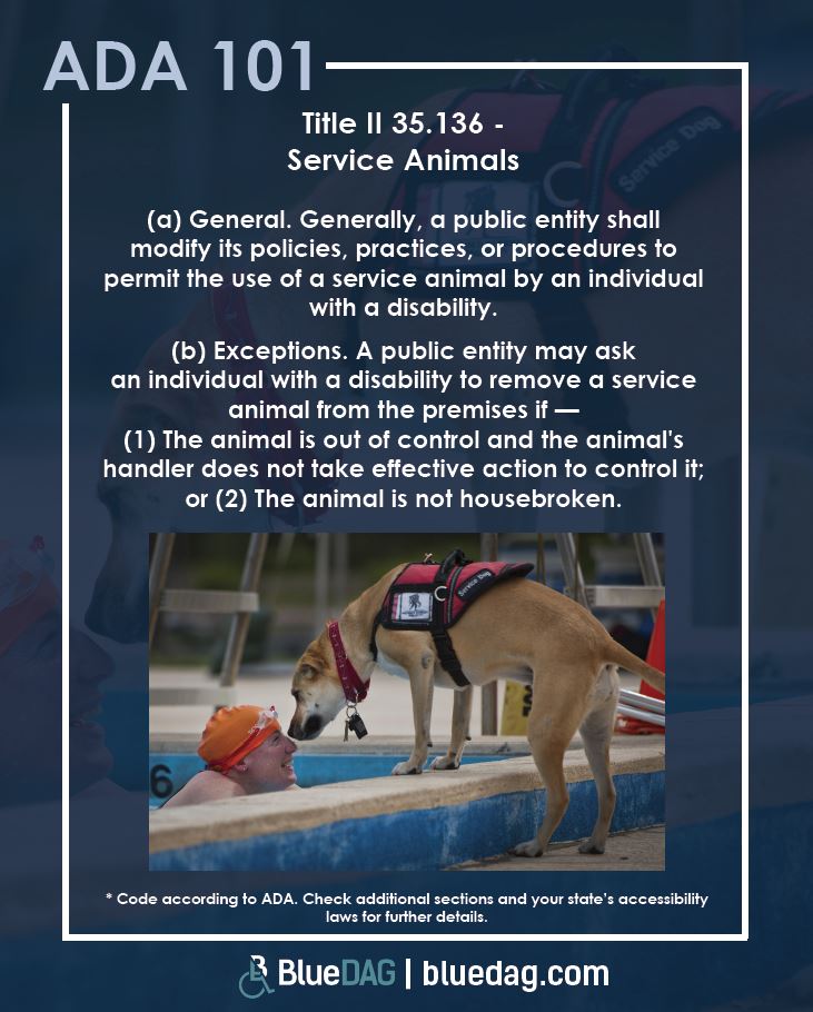 ADA 101 info graphic with ADA Title II section 35.136 code and picture of a service dog greeting a person in a swimming pool